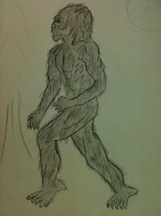 <div class="source"></div><div class="image-desc">An amateur sketch of Bigfoot drawn by a Bullitt County witness, courtesy of kentuckybigfoot.com</div><div class="buy-pic"></div>