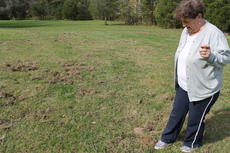 <div class="source">Alex Wimsatt</div><div class="image-desc">Darlene Howard shows some of the unexplained ruts in her hard</div><div class="buy-pic"><a href="http://www.lcni5.com/cgi-bin/c2newbuyphoto.cgi?pub=093&amp;orig=yeti.JPG" target="_new">Buy this photo</a></div>